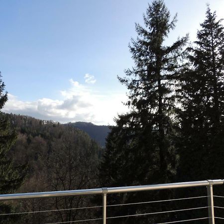 Gite Esperanza Spa Et Sauna Haselbourg Exteriör bild