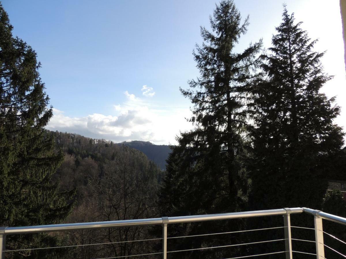 Gite Esperanza Spa Et Sauna Haselbourg Exteriör bild